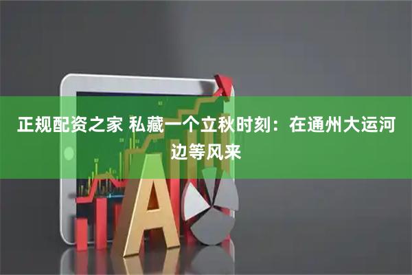 正规配资之家 私藏一个立秋时刻：在通州大运河边等风来