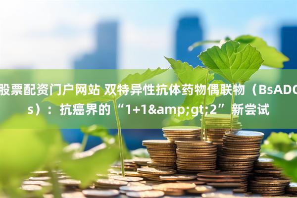 股票配资门户网站 双特异性抗体药物偶联物（BsADCs）：抗癌界的 “1+1>2” 新尝试